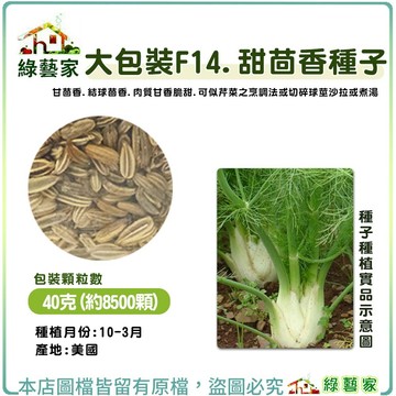 【綠藝家】大包裝F14.甜茴香種子40克(約8500顆)(甘茴香.結球茴香.肉質甘香脆甜..蔬菜種子