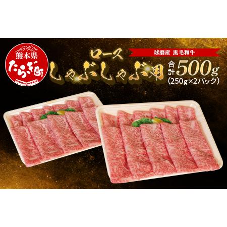 ふるさと納税 球磨産 黒毛和牛 ロースしゃぶしゃぶ用 計500g（250g×2パック）【 牛肉 しゃぶしゃぶ しゃぶしゃぶ用 ロ.. 熊本県多良木町