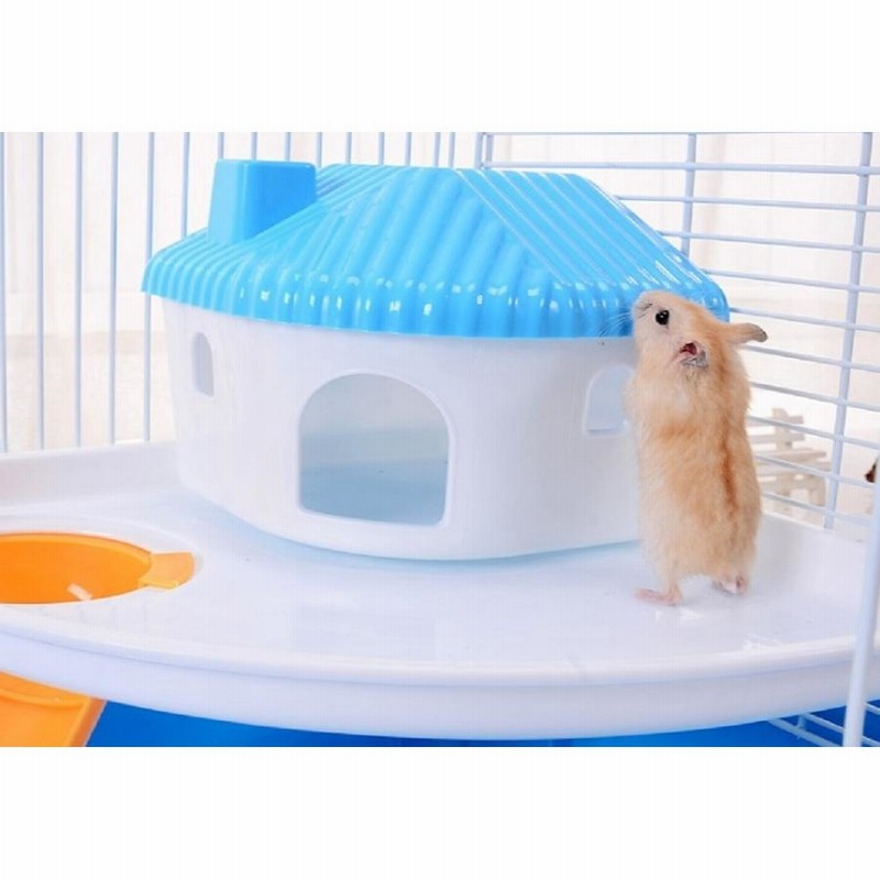 Amazon | IYOIYA ハムスター ケージ 大きい 2階建て 飼育キット