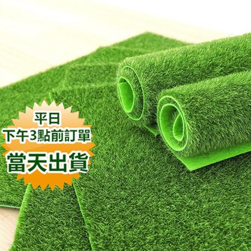 嘉義現貨  假草皮  公仔草皮 人造草皮 模型草皮 人工草皮 假苔癬質感 攝影布景 拍照道具 仿真草皮 寶來小舖