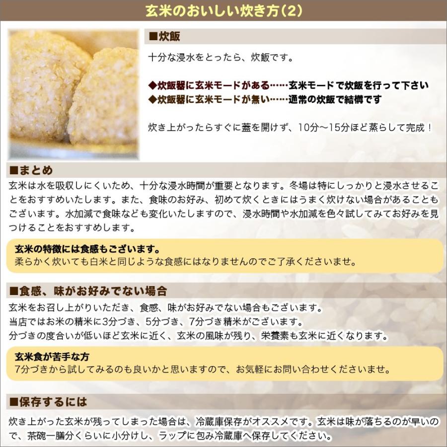 新米 玄米 25kg 中魚沼産コシヒカリ 令和5年産 新潟産 送料無料 （北海道、九州、沖縄除く）