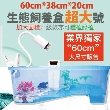 魚寶貝✨特大號【烏龜生態飼養盒／快速換水設計】烏龜飼養盒 烏龜飼養缸 曬背台 烏龜缸 龜缸 飼養箱 兩棲 爬蟲 水龜盒