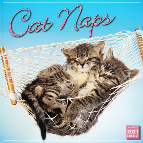 2021猫カレンダー　居眠りニャンコ