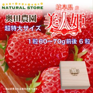 [予約 2024年1月5日-1月30日の納品] 美人姫 桐化粧箱 一粒60-70g前後 6粒 超特大サイズ 高糖度 DX 岐阜県産 苺 いちご イチゴ 最高級ブラ