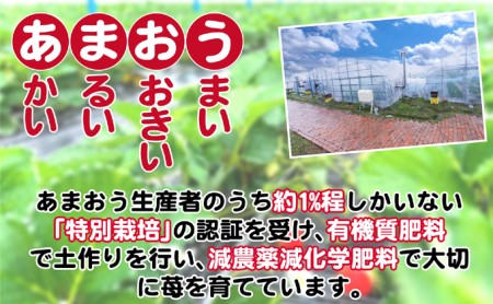 いちご 2023年12月より発送 うるう農園のあまおう スタンダード4パック 約1.14kg※配送不可：離島