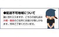 T字枝または吊るしクリップ付・吊るし柿用たねなし渋柿　約4.5～5kg（約20～30玉）-Ted