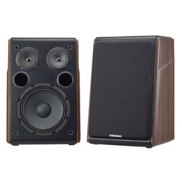 【燕聲ENSING】P8 桌上型喇叭 書架型音響 KTV音響 實木音響