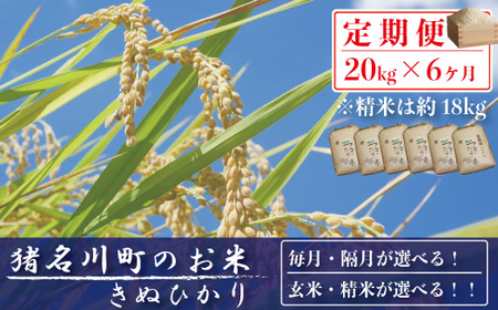 猪名川町産のお米（キヌヒカリ）　精米　隔月発送／ こめ コメ キヌヒカリ