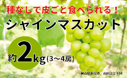 山田ぶどう園 シャインマスカット 約2kg 3～4房 