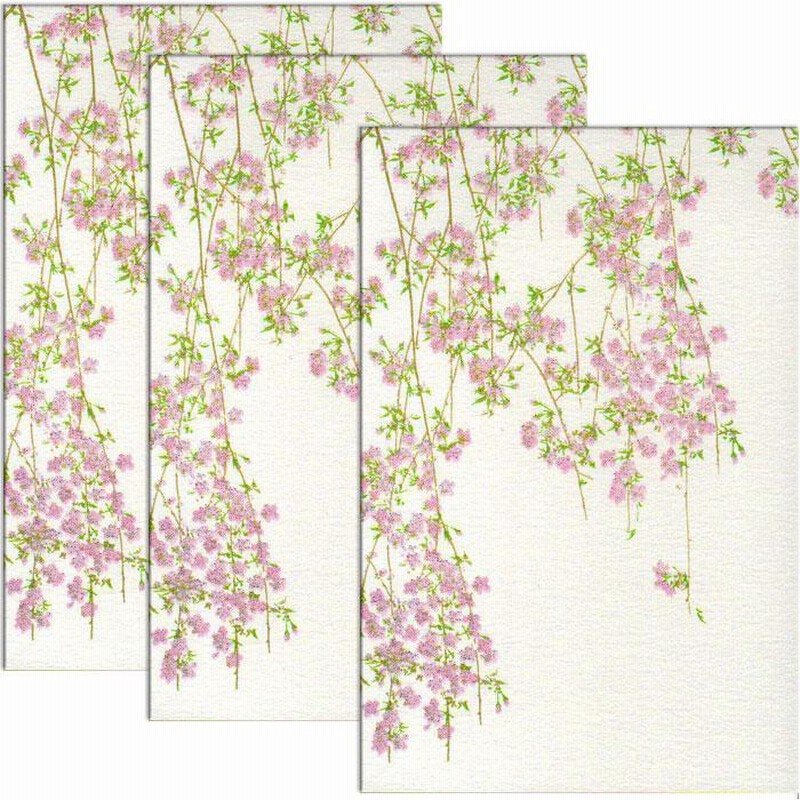 はがき ポストカード 絵葉書 桜 2021年 春 新作 花 和風 季節 枝垂れ桜