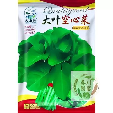 🔥【原裝大葉空心菜種子】葉寬肉厚 快炒絕配｜超耐熱 夏天救星｜陽台速成 30天採收｜免催芽 灑了就會長｜熱銷款