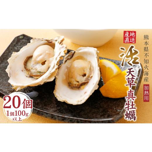 ふるさと納税 熊本県 上天草市 活き天草真牡蠣 2kg（100g以上×20個）加熱用かき 牡蠣 カキ