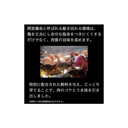 ふるさと納税 「おいしい総攻撃、手羽先の陣！」伊達鶏の手羽先塩焼き 50本 福島県伊達市 F20C-572 福島県伊達市