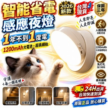 隔日達🔥感應燈 感應式 led燈 磁吸燈 感應燈 充電式 感應式小夜燈 人體感應燈 磁吸感應燈 感應小夜燈 感應夜燈
