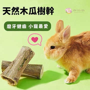 HHW 天然磨牙木｜木瓜樹幹 兔子天竺鼠龍貓啃咬玩具