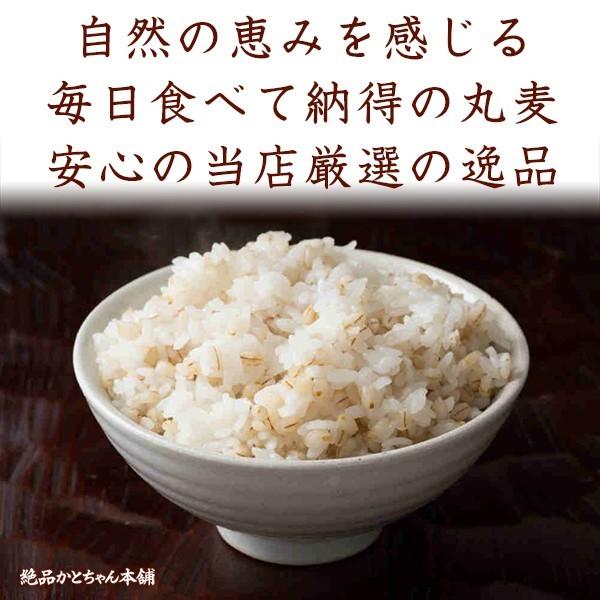 雑穀 雑穀米 国産 丸麦 9kg(450g×20袋) 送料無料 ダイエット食品 置き換えダイエット 雑穀米本舗