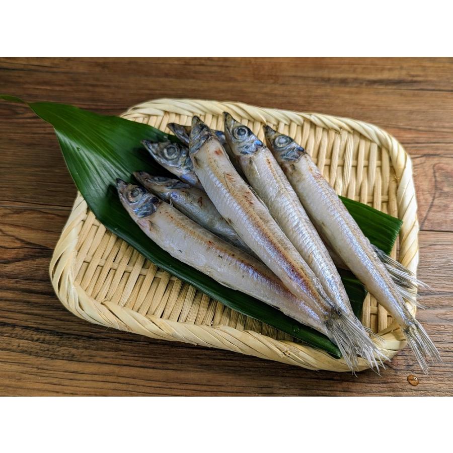 蒲郡ニギスの丸干し（汐干し）脂が乗って旨い！骨と身が離れやすく食べやすい！　愛知　蒲郡　にぎす