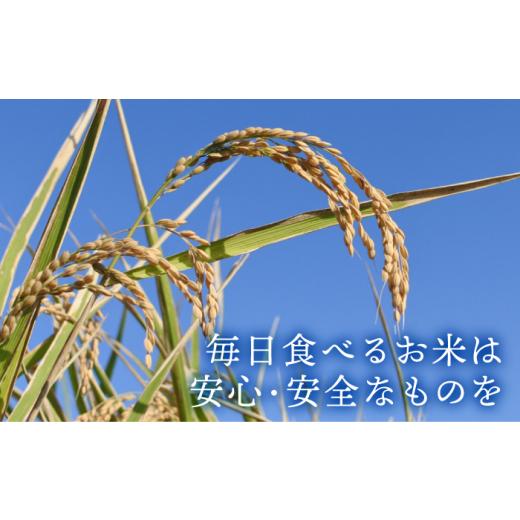 ふるさと納税 佐賀県 江北町 ＜全3回定期便＞令和5年産 白米 食べ比べセット4kg（夢しずく 2kg・さがびより 2kg）特A米 …