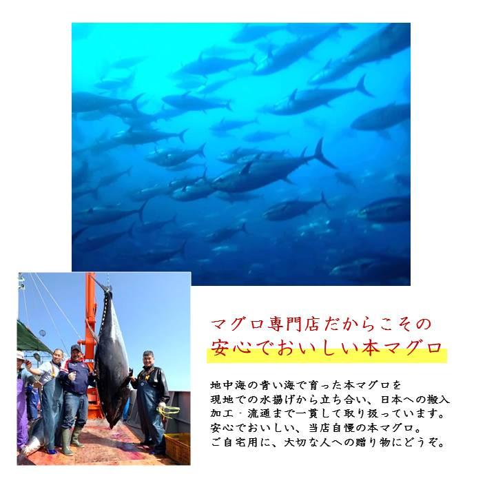 マグロ まぐろ ギフト 本マグロ赤身 サク 300g