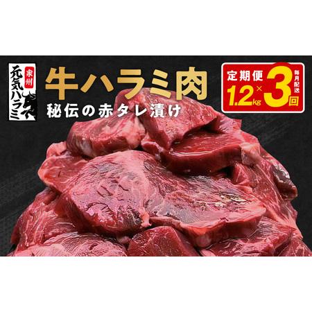 ふるさと納税 牛ハラミ 定期便 1.2kg 全3回 タレ漬け 牛肉 小分け 300g×4 大阪府泉佐野市