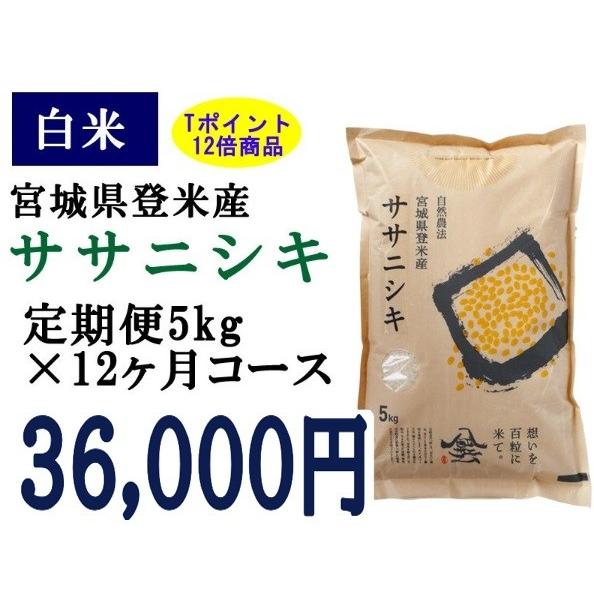 定期便12ヶ月コース：ササニシキ白米5kg 宮城県登米産