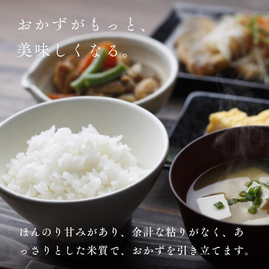 新米 産地限定 ななつぼし 10kg 5kg×2袋 北海道産 白米 令和5年産 米 お米 送料無料 真空パックに変更可