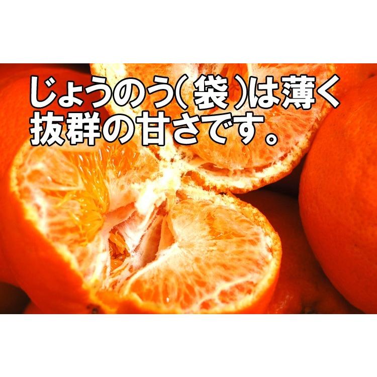 愛媛西宇和産　甘平　訳あり家庭用　５ｋｇ　送料無料　産地直送