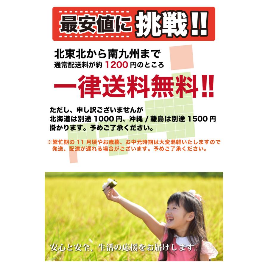 令和５年産 無洗米福井県産コシヒカリ 10kg 白米 安い 5kg×2 単一原料米 送料無料