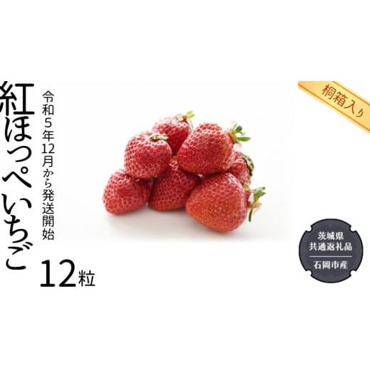 ふるさと納税 茨城県 つくばみらい市 紅ほっぺ いちご 桐箱入り 12粒  （県内共通返礼品：石岡市産） フルーツ 果物 デザート イ…