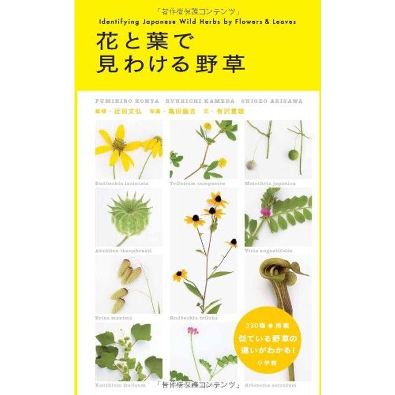 花と葉で見わける野草