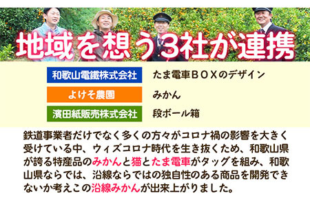 沿線みかん 約5kg 和歌山電鐵株式会社《10月下旬-2024年1月上旬頃より発送予定》和歌山県 紀の川市 フルーツ 果物 みかん 柑橘