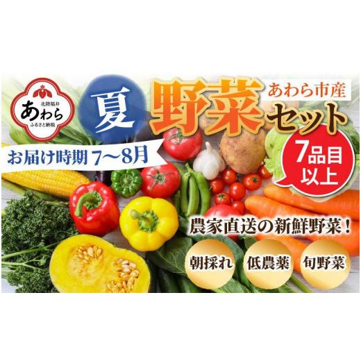 ふるさと納税 福井県 あわら市 農家直送 夏野菜セット 1箱 7品目以上 《元気に育った新鮮野菜！》※2024年7月中旬以降発送