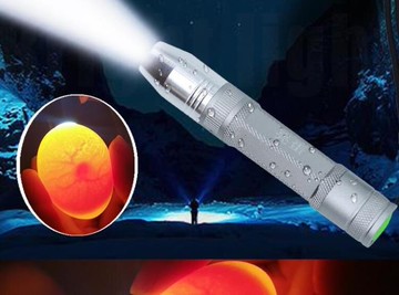 照蛋器 亮蛋照蛋器孵化用雞鴨鵝鳥檢查驗蛋照蛋燈LED強冷光充電穿透手電