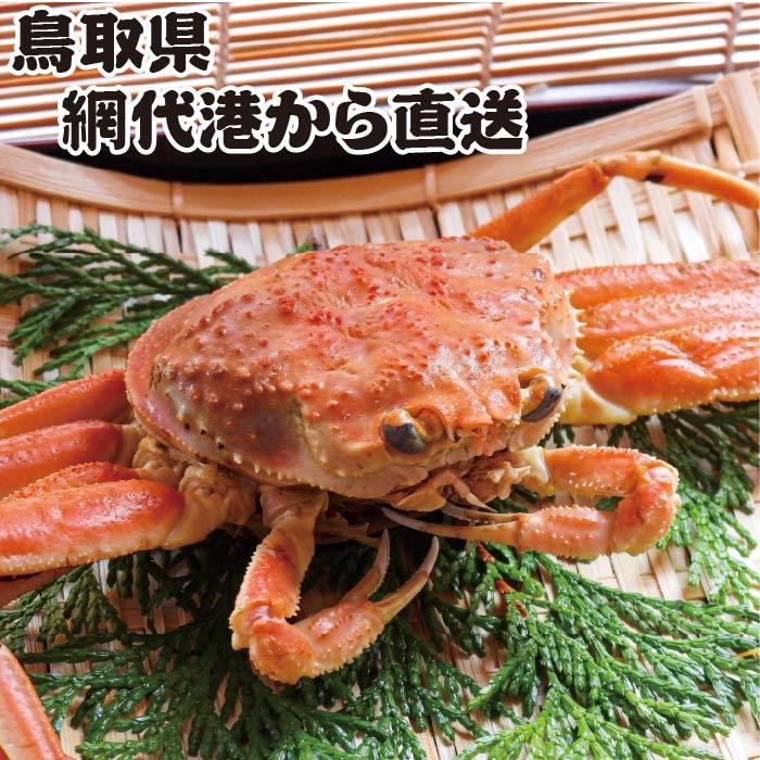 贈答にも！  冬の味覚  浜ゆで松葉ガニ 中 (600g以上)  1枚