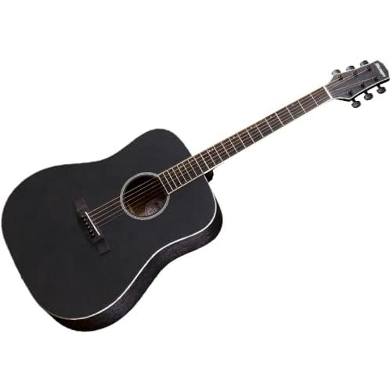 アコースティックギター Morris モーリス Perfomers Edition F-021 BLK ブラック つや消し マット塗装