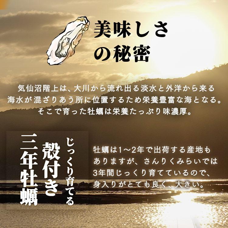 牡蠣 殻付きカキ 大中小 20個セット 代引不可 三陸未来