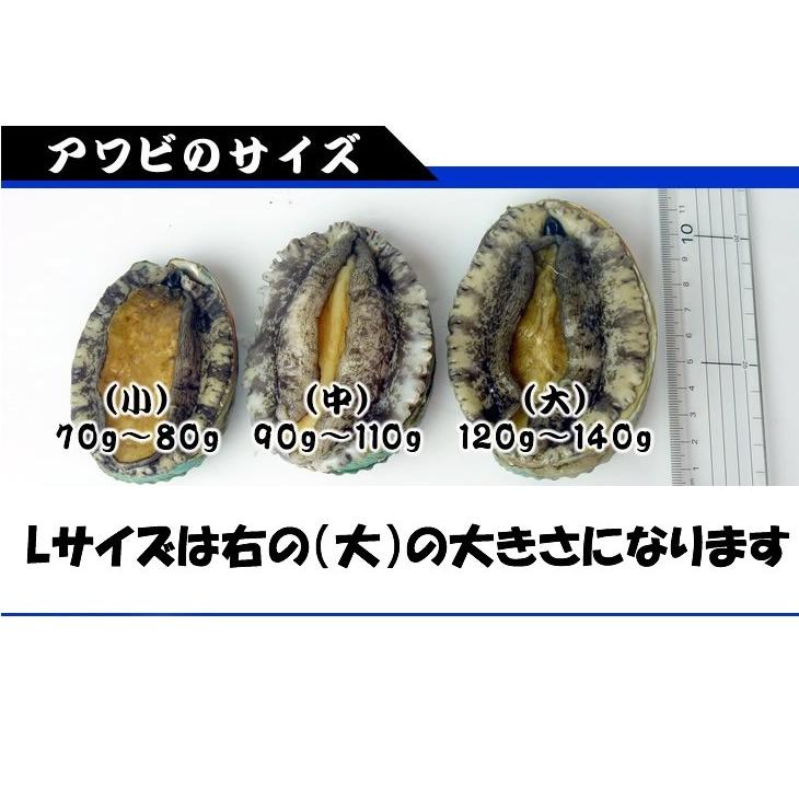 活蝦夷あわび 150ｇ〜160ｇ　3枚[あわび]