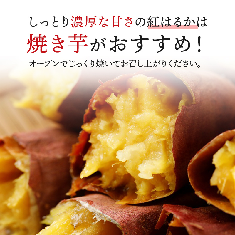 紅はるか 秀品2Lサイズ 約5kg 焼き芋 送料無料 焼いも やきいも やき芋 しっとり 無添加 無着色 茨城県 茨城県産 関商店 スミフル