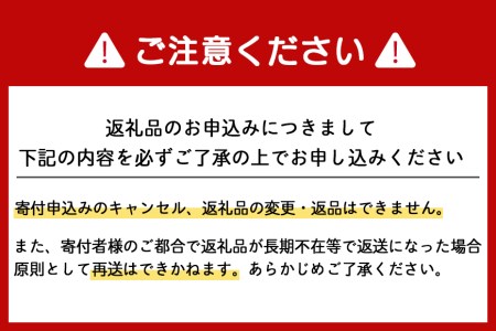 北海道産 冷凍ホタテ片貝 15枚セット ほたて 帆立