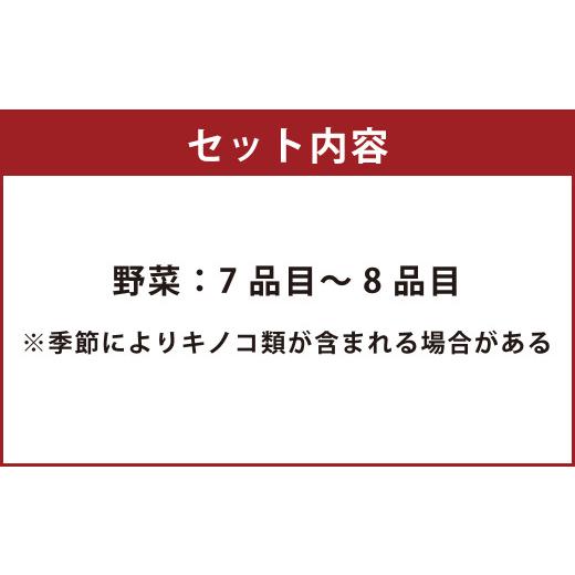 ふるさと納税 長崎県 時津町 野菜のプロ40年が届ける こだわり野菜セット！ 7〜8品目 詰め合わせ