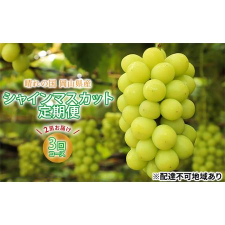 ふるさと納税 ぶどう 2024年 先行予約 晴れの国 シャインマスカット 2房（1房約700g以上） 定期便 3回 コース フルーツ 果物 岡山 岡山県里庄町