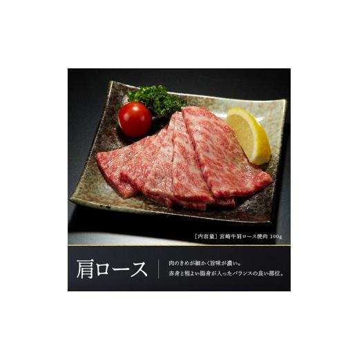 ふるさと納税 宮崎県 川南町 宮崎牛 焼肉 ６種食べ比べセット 肉 牛 牛肉