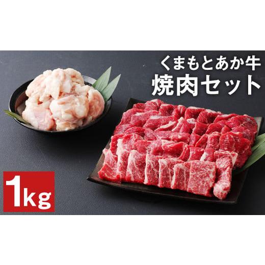 ふるさと納税 熊本県 菊池市 くまもと あか牛 焼肉 セット 計1kg（もも700g・ホルモン300g）和牛 牛肉