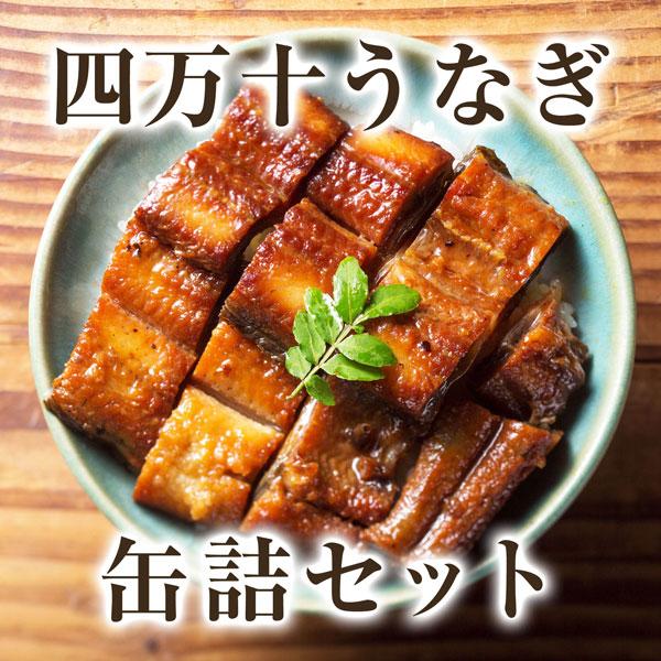 四万十 うなぎ 缶詰セット ギフト 四万十うなぎ 蒲焼 1缶 四万十 うなぎ ひつまぶし高知県産 しびれる翡翠山椒 母の日 父の日 お中元 お歳暮 敬老の日 送料無料