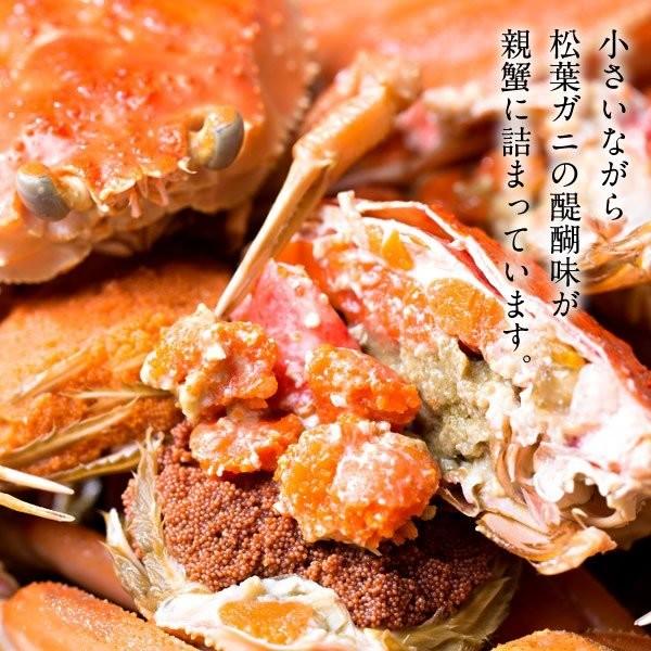 香箱がに せこ蟹 セイコガニ［大］3kg 活がに 活き 子持ち 生 新物 メス 親蟹 せこがに せいこ蟹 香箱蟹 鳥取県産［お歳暮 2023 ギフト 御歳暮］