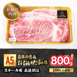 百年の恵み おおいた和牛 A5 ステーキ用 厳選部位 (計800g・200g×4枚) 国産 牛肉 肉 霜降り ロース 肩ロース サーロイン 和牛 ブランド牛 ステーキ 冷凍 大分県 佐伯市 