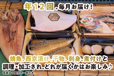 ＜定期便12回＞北海道産 旬のお魚 4～5種 お楽しみ定期便