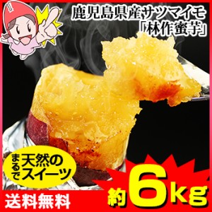 まるで天然のスイーツ 鹿児島県産サツマイモ「林作蜜芋」約6kg（約3kg×2箱）