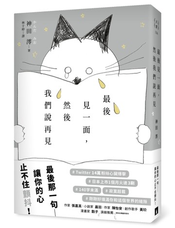 最後見一面，然後我們說再見[二手書_良好]