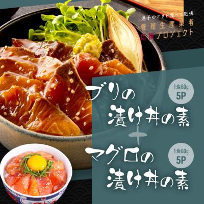 ふるさと納税 芸西村 高知の海鮮丼の素「ブリの漬け」1食80g×5P 「マグロの漬け」1食80g×5P